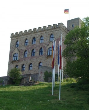 Hambacher Schloss24062014