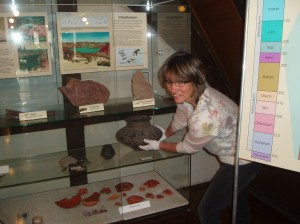 Im Stadtmuseum gibt es vor Saisonstart vieles zu tun, hier Ursula Rauh bei Arbeiten an Exponaten in der Abteilung Geologie/Archäologie im Dachgeschoss des Alten Hospitals 
