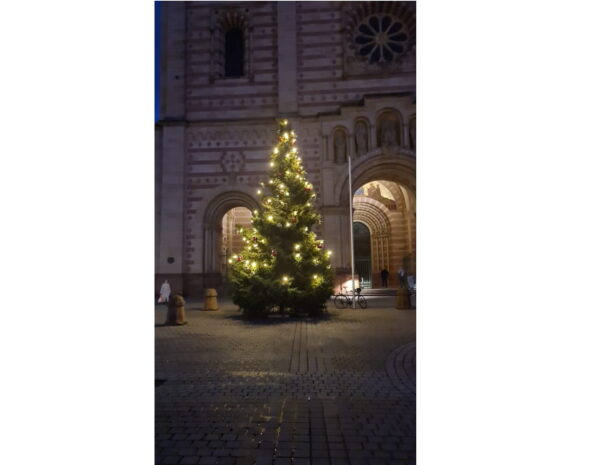 Speyer – Beleuchteter Weihnachtbaum vor dem Kaiserdom als Lichtblick