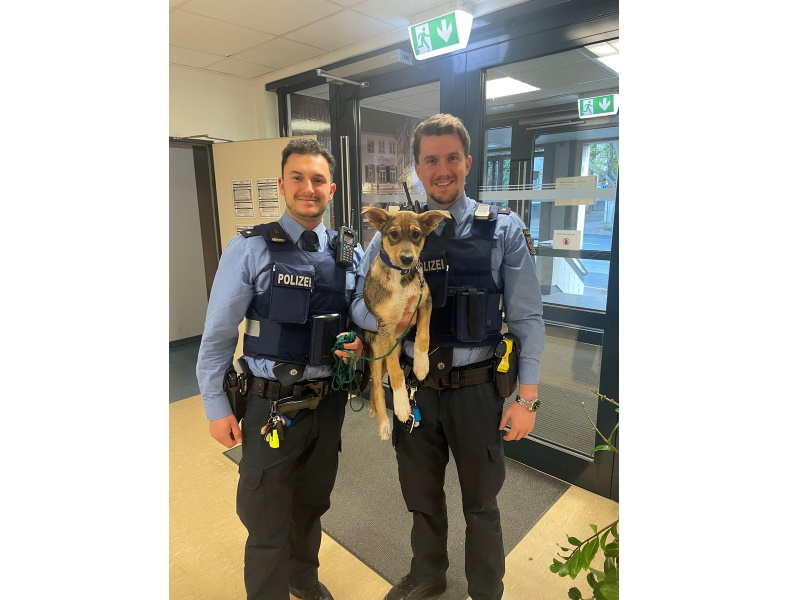 Mainz –  Polizei rettet Hundewelpe aus dem Rhein