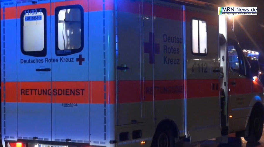 Rhein-Neckar-Kreis – E-Bike-Fahrer bei Alleinunfall schwer verletzt – Zeugen gesucht