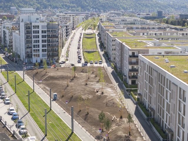 Spitzes Eck: Bahnstadt-Heidelberg erhält zum Sommeranfang neuen grünen Erholungsort  – Knapp 30 Bäume gepflanzt – jeweils bereits fünf Meter hoch