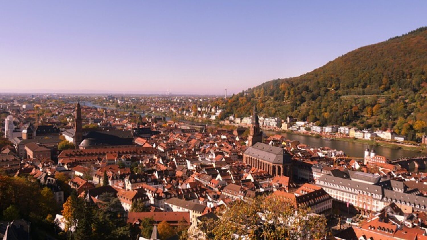 Kurzbericht zur Heidelberger Bevölkerungsanalyse 2023 – Südstadt verzeichnet das größte Wachstum