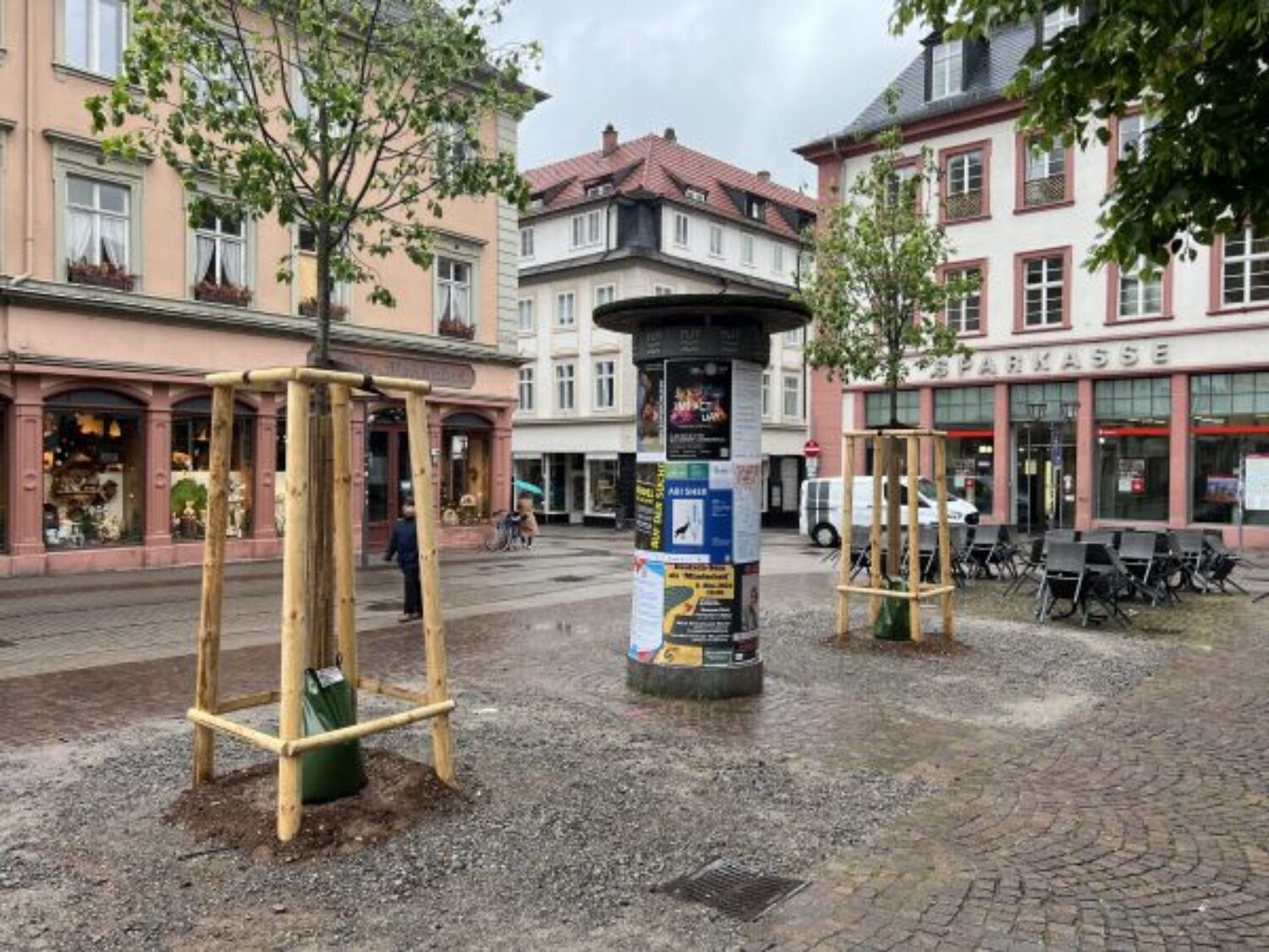Zwei neue Winterlinden auf dem Heidelberger Universitätsplatz! Bäume erhalten besonderen Schutz