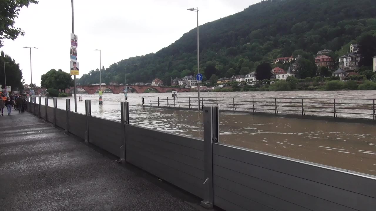 Heidelberg – Hochwasser! Zum Beispiel am Neckarmünzplatz gegen Sonntagmittag